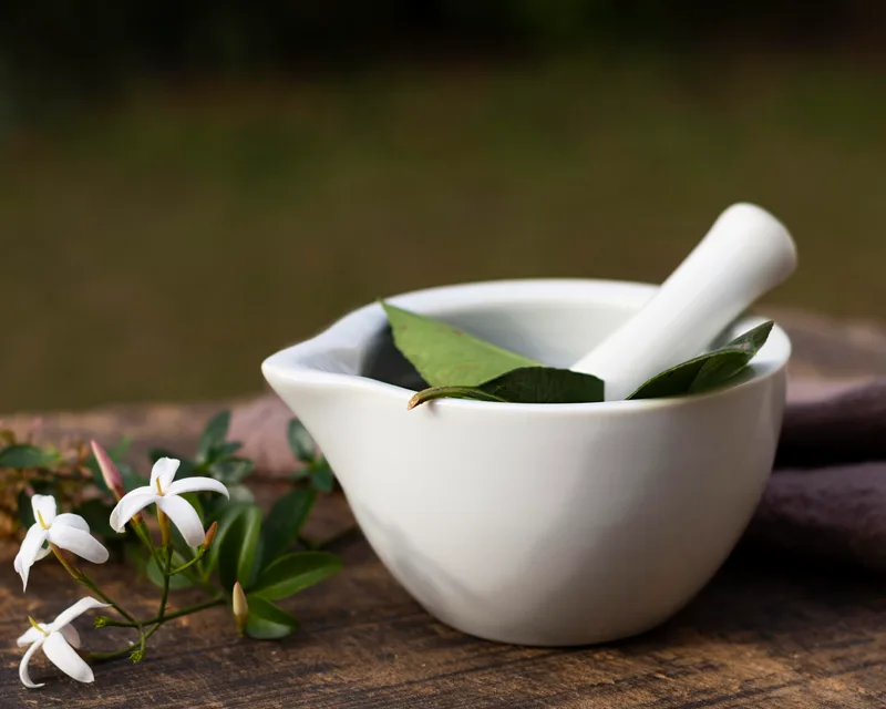 Understanding Your Dosha alt