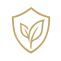 Immunity Boosting & Post COVID