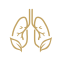 Respiratory Diseases